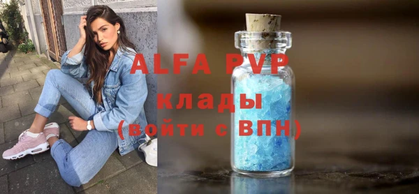 spice Богородск