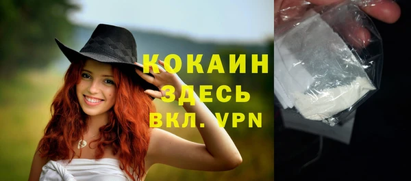 spice Богородск