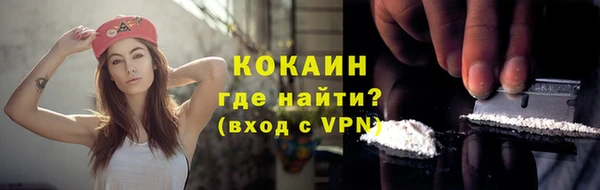 мдпв Рославль