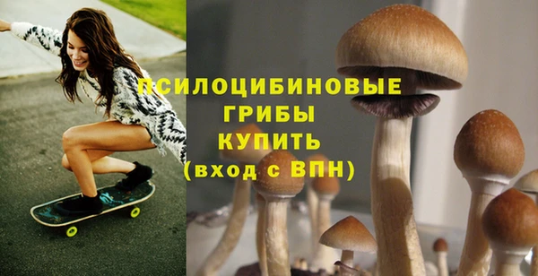 прущая мука Бородино