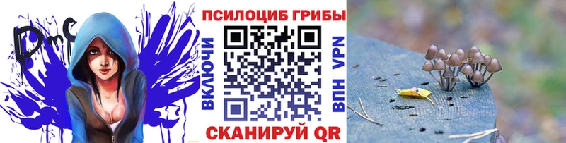 blacksprut маркетплейс  купить  цена  Мелеуз  Галлюциногенные грибы мицелий 